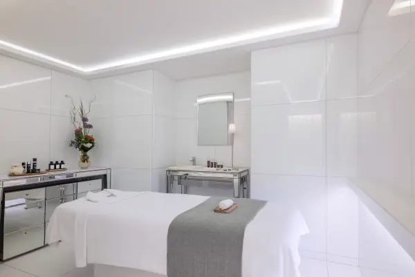 Raffles Spa & Wellness - Massage et Accès au Spa — visuel 1