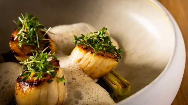 Menu en 4 services avec accord mets et vins — visuel 2