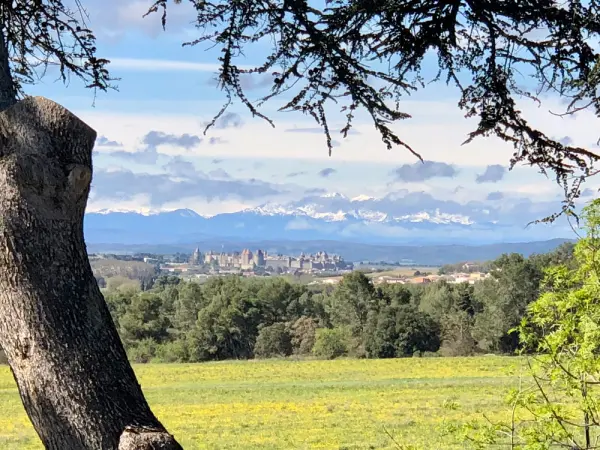 Retrouvailles insolites entre amis en Moyenne Saison — visuel 3