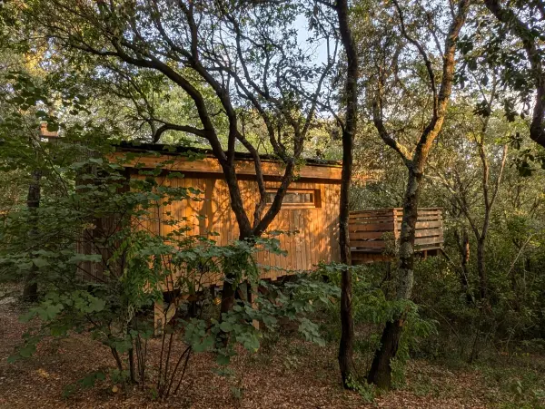 Découverte des Cabanes dans les Bois à 2 d'octobre à Mars — visuel 2