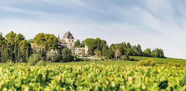 Atelier vin & fromage — visuel 3