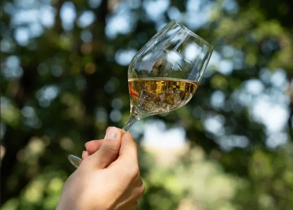 Wine & Walk — visuel 1