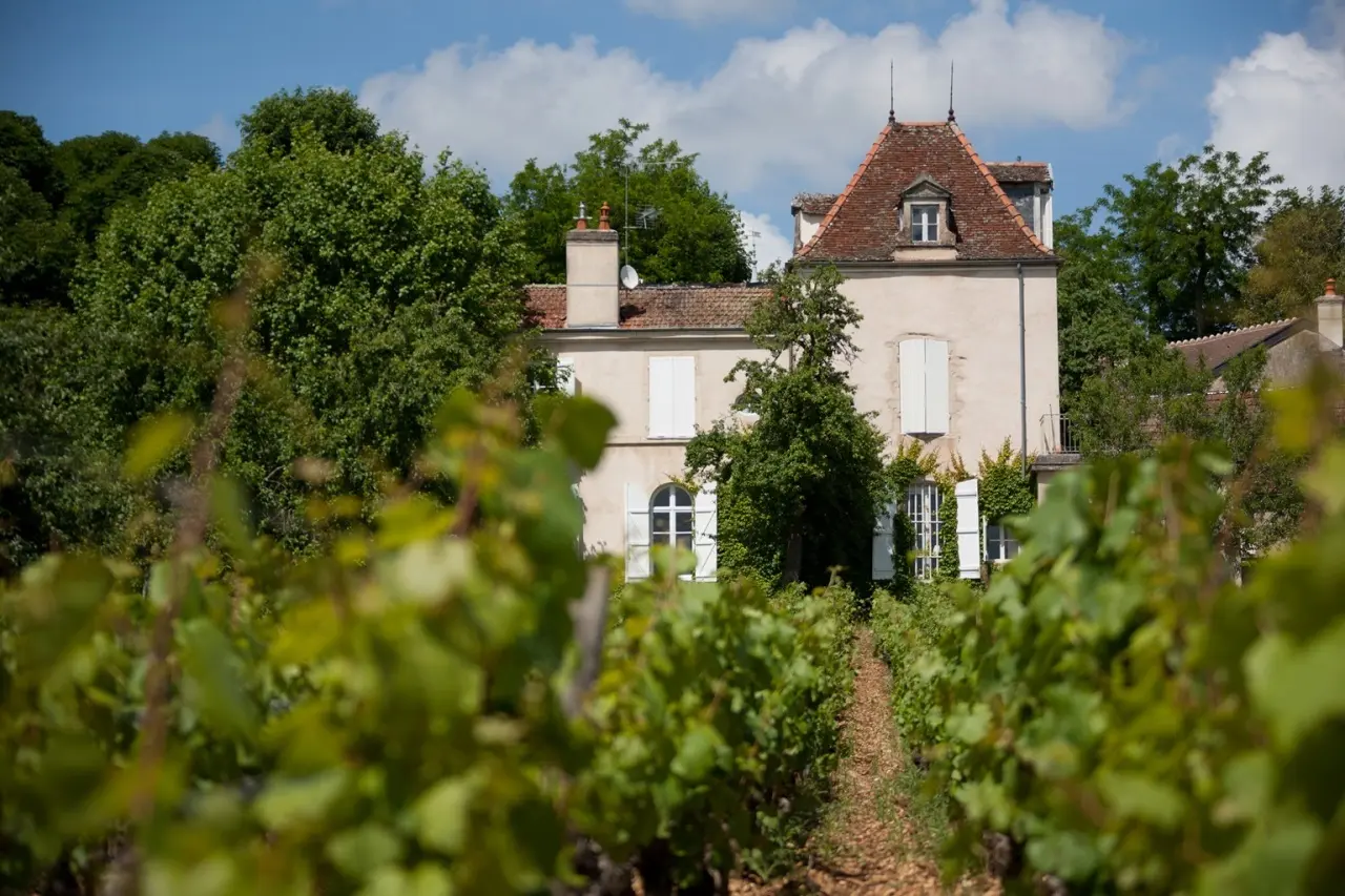 Déjeuner-dégustation au Domaine Comte Senard et Repas à La Dame d'Aquitaine