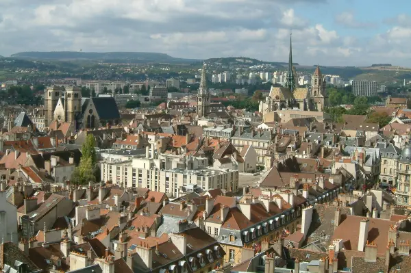 Dijon en 1 jour : visite guidée et déjeuner au Bistrot ou Jardin de la Dame — visuel 1