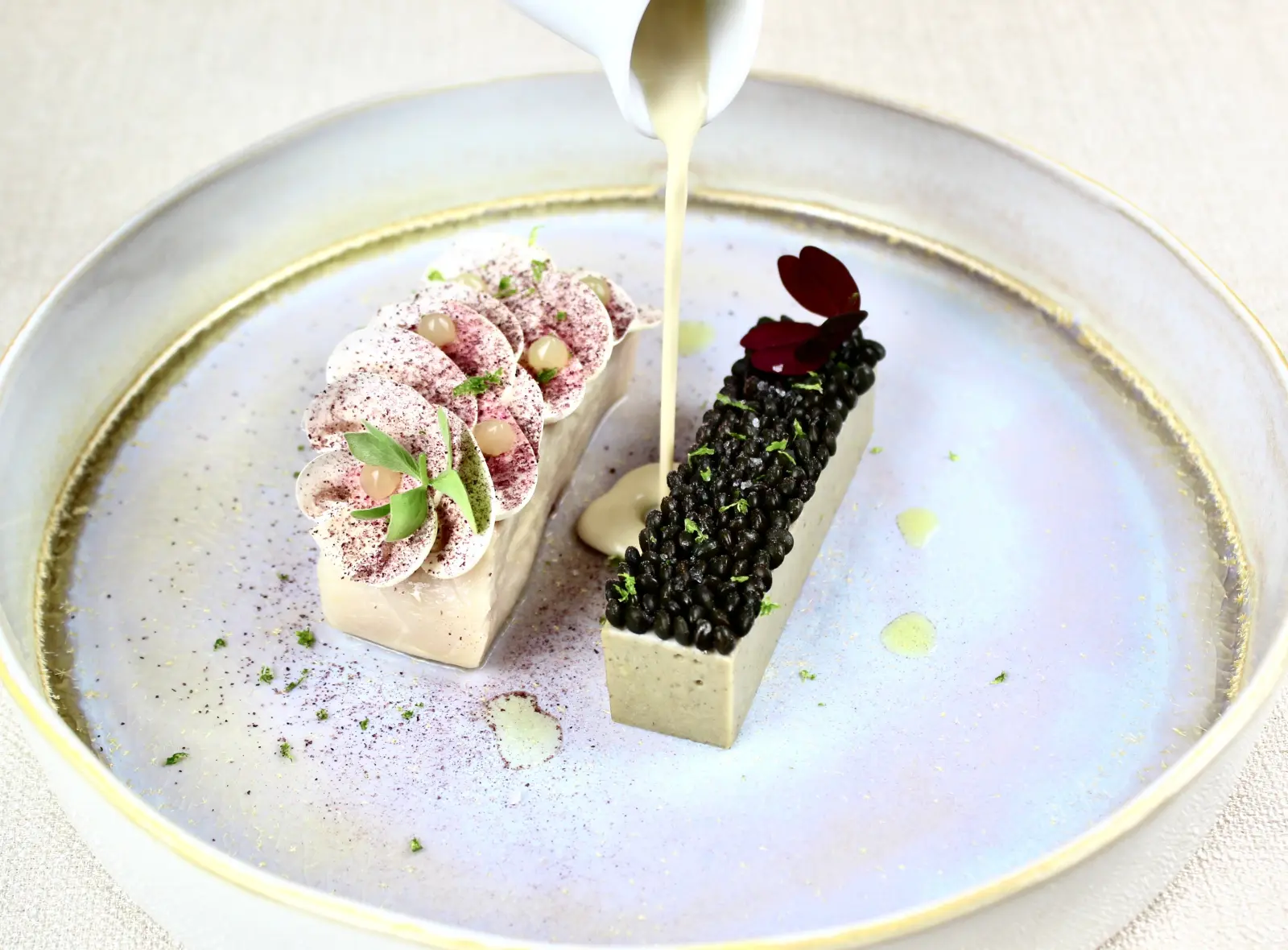 Menu Dégustation avec 5 accord mets & vins