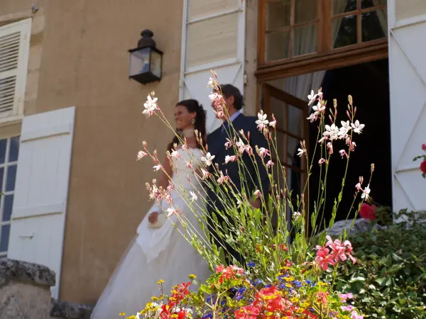 Nuit de noces grand luxe — visuel 2
