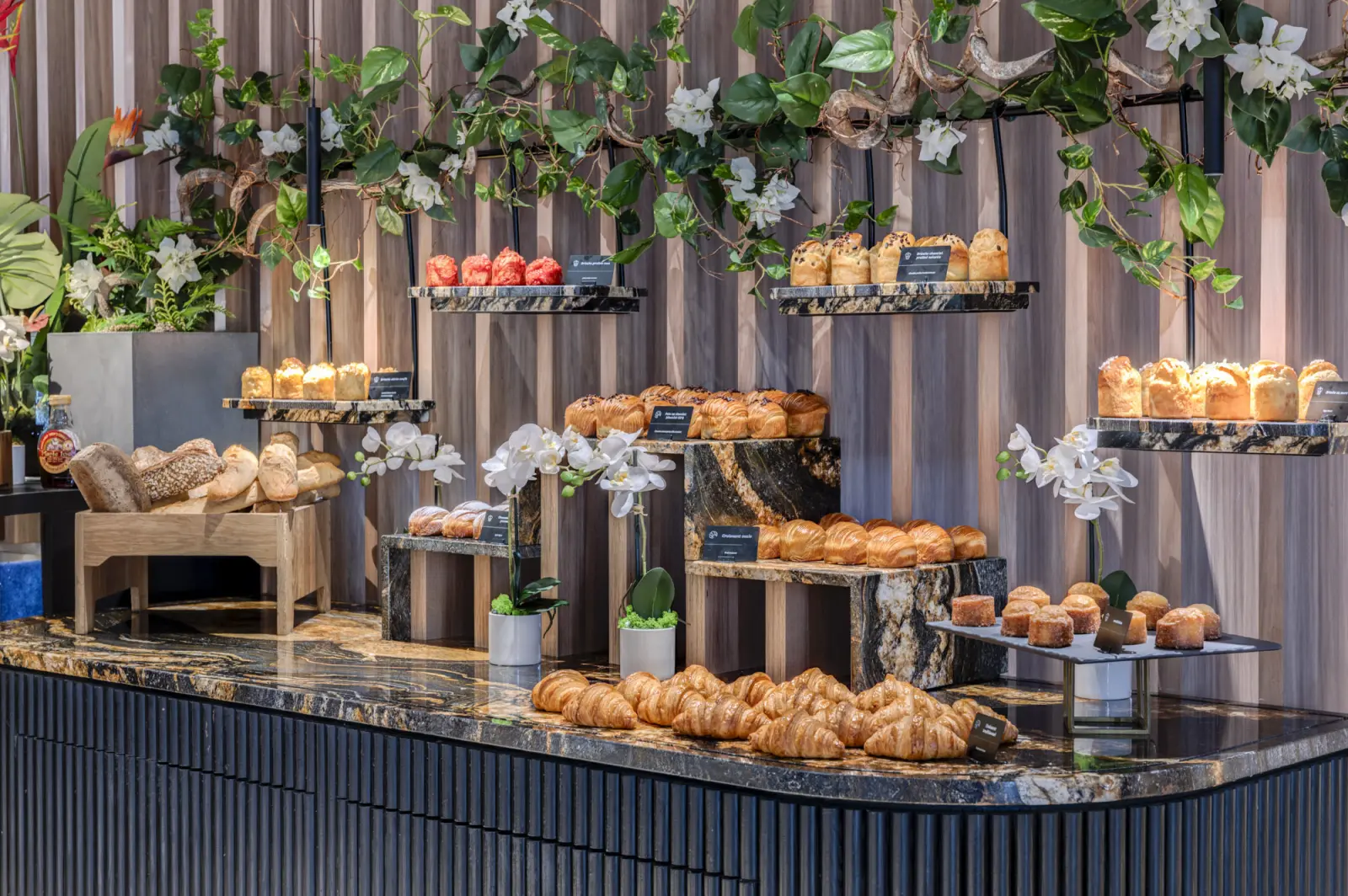 Petit dejeuner & acces spa
