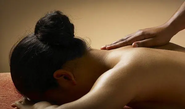 Journée SPA — visuel 2