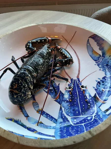 Dégustation de Fruits de Mer ROYAL avec Homard Breton — visuel 1
