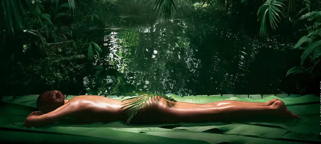 Rite holistique d'Amazonie 2h