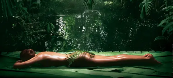 Rite holistique d'Amazonie 2h — visuel 1