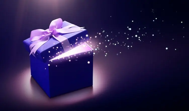 Coffret kokoon