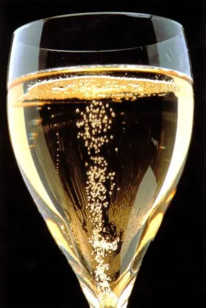 bouteille de champagne Deutz — visuel 1