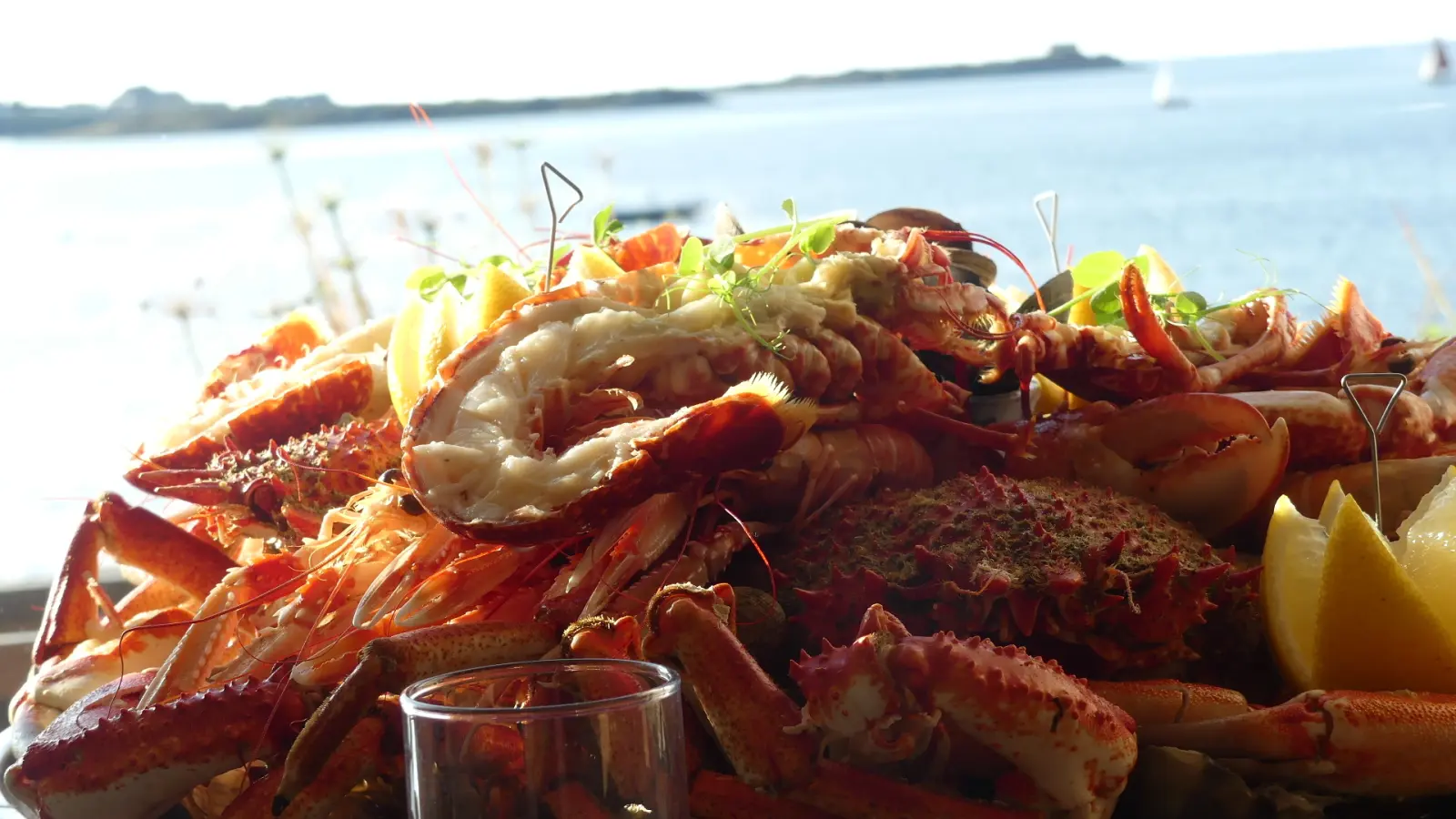 Plateau de Fruits de mer ROYAL avec Homard Breton