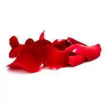 Pétales de roses — visuel 2