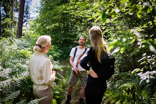 Escapade "Nature & Eclat" — visuel 2