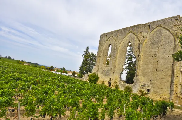 Visite des sous-terrains de Saint Emilion — visuel 2