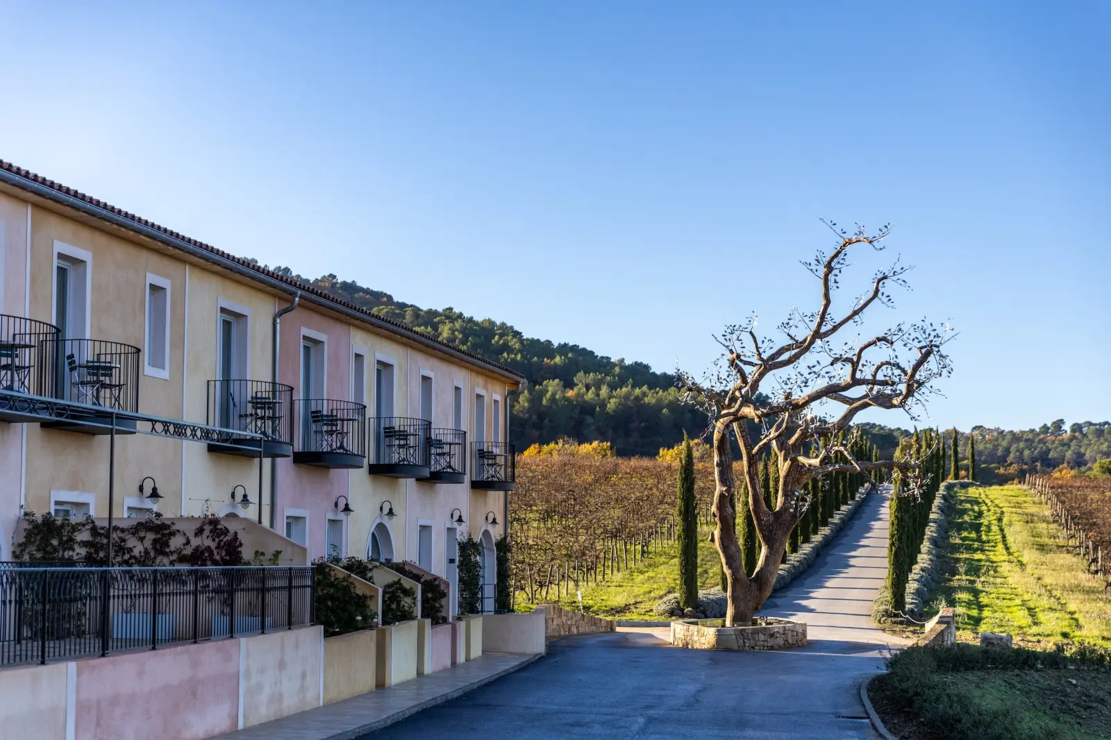 Séjour hivernal en Provence