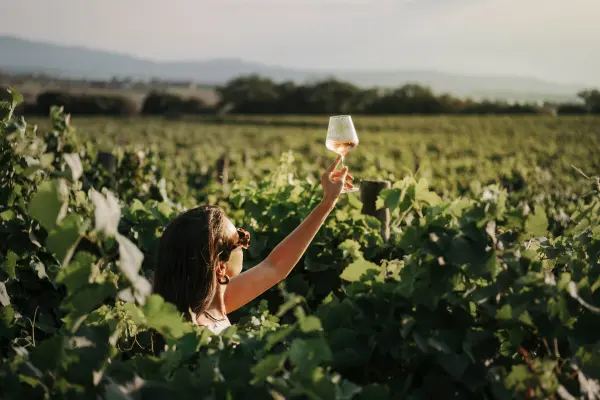 Wine & Walk — visuel 1