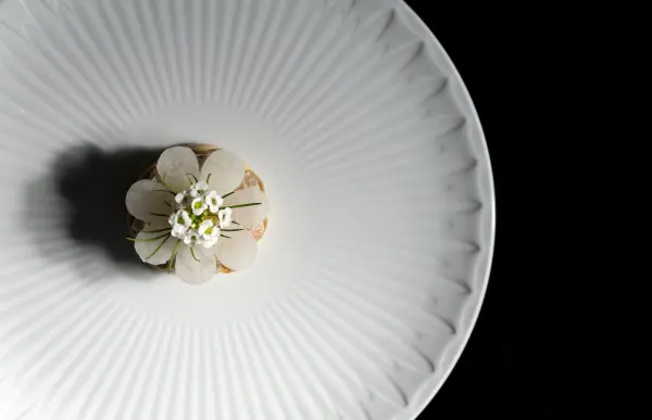 Rencontre Culinaire en Ardenne en chambre Confort — visuel 1