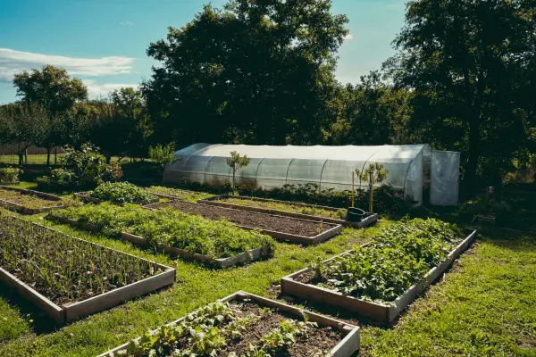 Le Menu Origny – 8 Étapes – Accords Vins « Au Fil des Vignes » — visuel 2