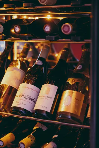 Le Menu Origny – 8 Étapes – Accords Vins « Au Fil des Vignes » — visuel 3