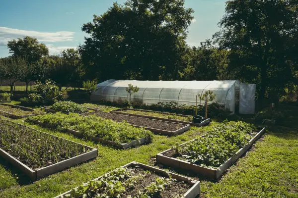 Le Menu Gourmandise – 9 Étapes – Accords Vins « Au Fil des Vignes » — visuel 2