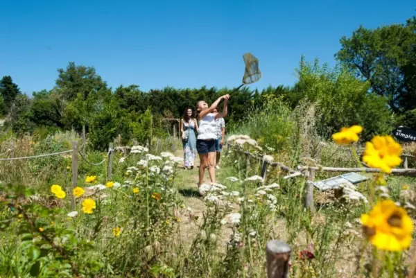 Quand Provence rime avec Romance