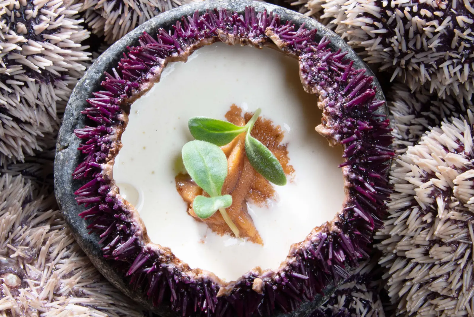 Dégustez une cuisine authentique au restaurant Le K’ozzie