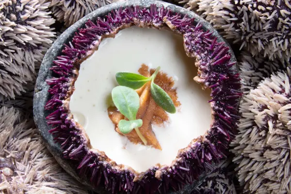 Dégustez une cuisine authentique au restaurant Le K’ozzie