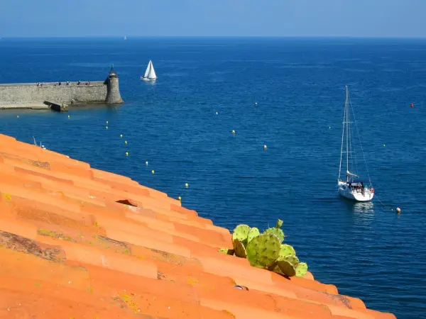 Comme un air d’été, partez à la découverte de Banyuls