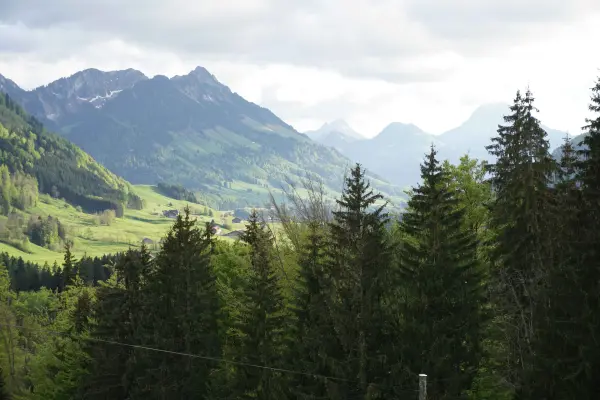 Éveillez vos sens au restaurant La Pinte des Mossettes en Suisse