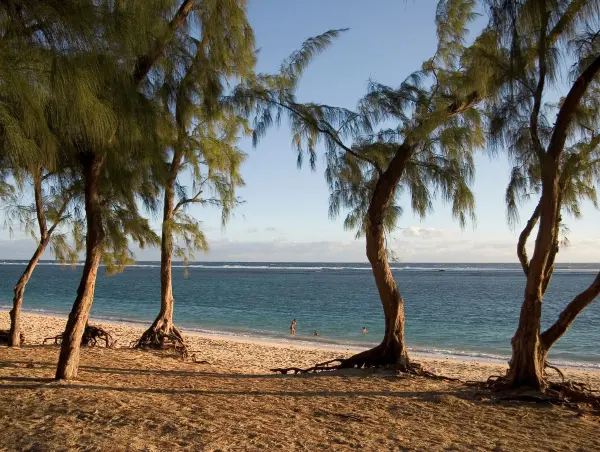 A la découverte des Volcans de la Réunion & un séjour tropical au Relais de l'Hermitage