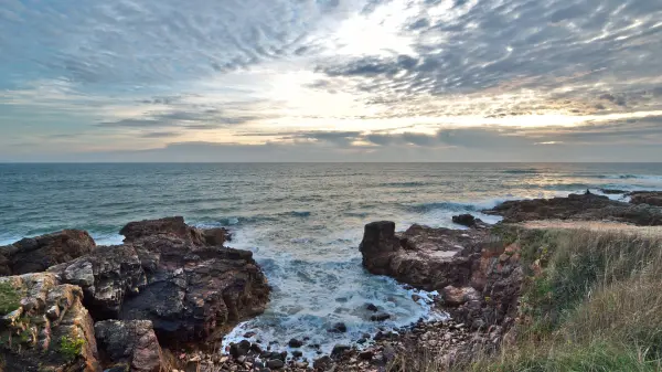 Les Trésors de la Vendée