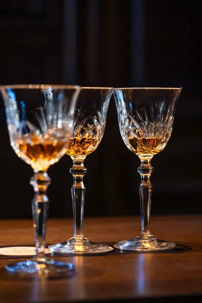 Domaine de la Reine Margot — vue 4