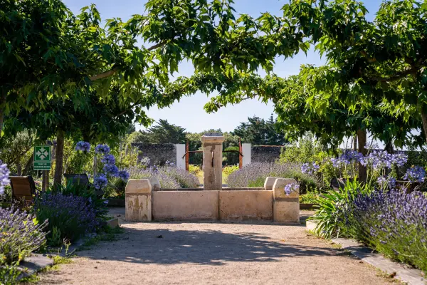 Eco Domaine de la Fontaine — vue 6