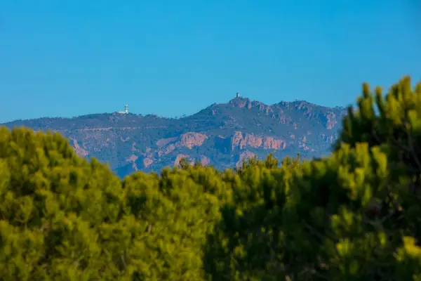 Garrigae Domaine de l'Esterel — vue 1