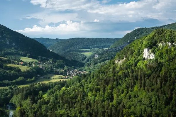 Hotel Taillard — vue 6