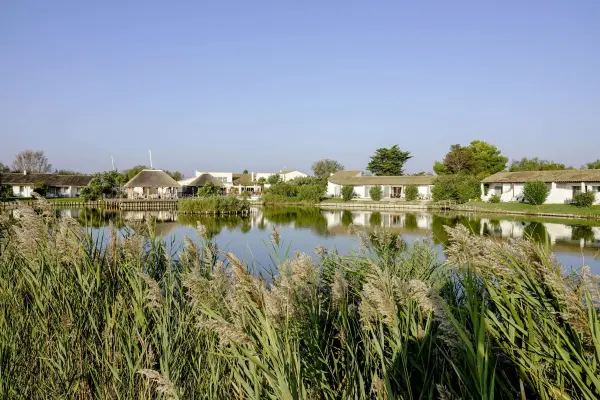 L'Estelle en Camargue — vue 14