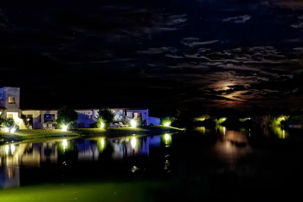 L'Estelle en Camargue — vue 13