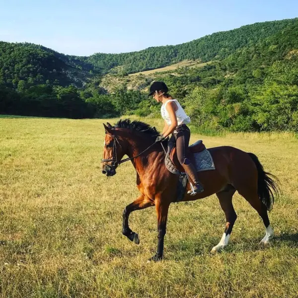 Domaine Equestre des Pialoux — vue 1