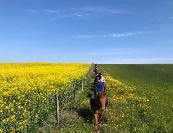 Domaine Equestre des Pialoux — vue 3