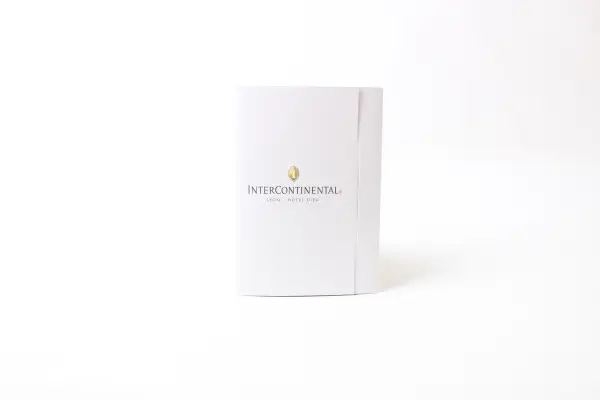 Intercontinental Lyon - Hotel Dieu — vue 6