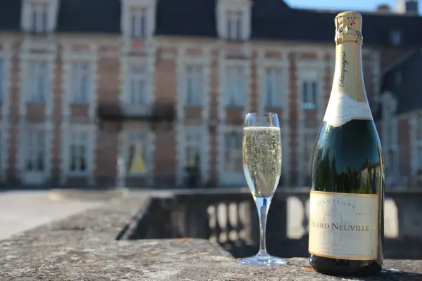 Le Chateau d'Etoges — vue 5