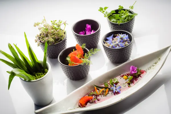 Restaurant Herve Busset — vue 3