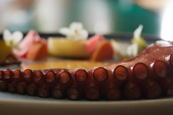 Restaurant Yam — vue 5
