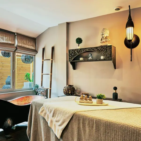 Sandro Spa — vue 2