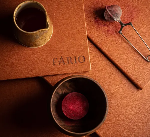 Fario — vue 4