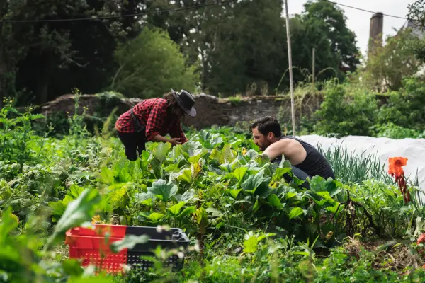 La Morinais — vue 1