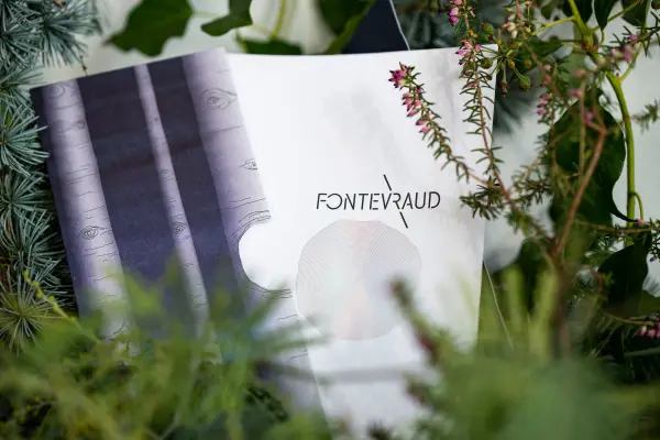 Fontevraud l'Ermitage — vue 7